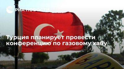 Владимир Путин - Тайип Эрдоган - Ибрагим Калын - Фатих Донмез - Турция в феврале планирует провести конференцию, на которой обсудят проект газового хаба - smartmoney.one - Россия - Турция - Стамбул