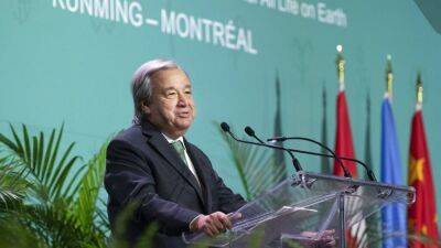 COP15 в Монреале: "Защитить 30% суши и морей к 2030 году"