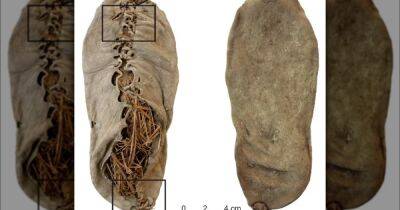 До появления Стоунхенджа и пирамид. Археологи выяснили, когда была пошита первая кожаная обувь