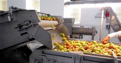 Предприятие по переработке фруктов и овощей строится в Худжанде