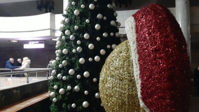 "Однажды на душе немного веселее стало": новогоднюю елку установили в Харькове, как она выглядит