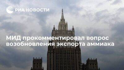 Грушко: Россия не готова ни на какие размены в вопросе возобновления экспорта аммиака