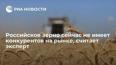 Эксперт Безбородов: российское зерно сейчас не имеет конкурентов на мировом рынке