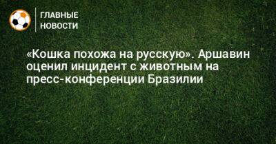 «Кошка похожа на русскую». Аршавин оценил инцидент с животным на пресс-конференции Бразилии