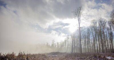 ГСЧС предупредила о густом тумане: объявлен "желтый" уровень опасности