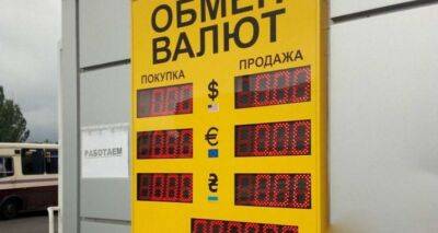 Доллар притормозил: сколько стоит валюта в Украине 8 декабря - cxid.info - Украина