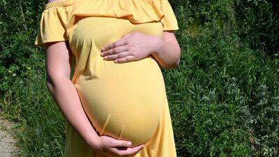 В РФ запретили суррогатное материнство для иностранцев