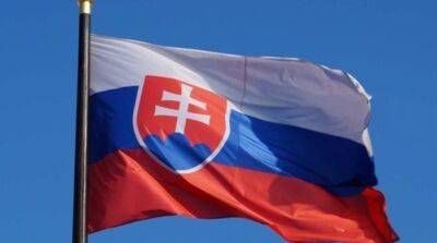 Словакия одобрила новый пакет помощи Украине: что получат ВСУ