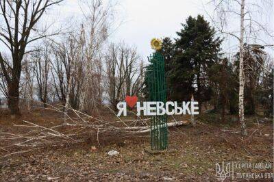 Суцільна руїна, з вирвами та уламками снарядів: у мережі показали, як виглядає звільнене село на Луганщині