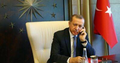 "В войне нет победителей: Эрдоган проведет телефонный разговор с Путиным и Зеленским