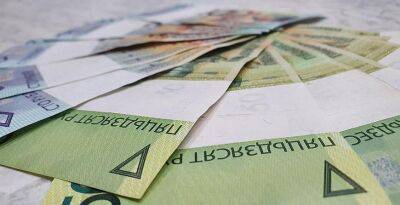 Минимальная зарплата в Беларуси с 1 января вырастет до Br554
