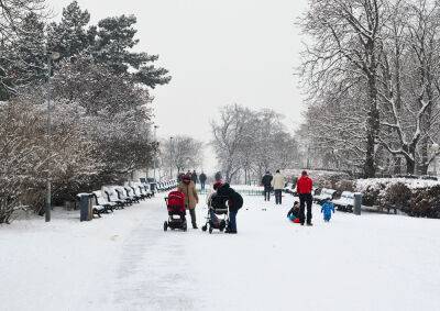 Предупреждение о сильных снегопадах объявлено в Чехии - vinegret.cz - Чехия