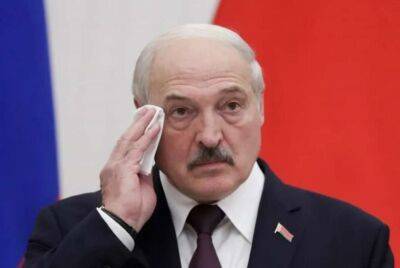 Лукашенко заявив, що НАТО хотіло розпочати війну на Донбасі
