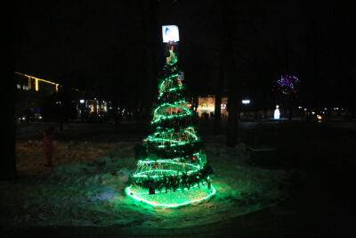 В Гродно зажгли аллею дизайнерских елок «MagicLand»