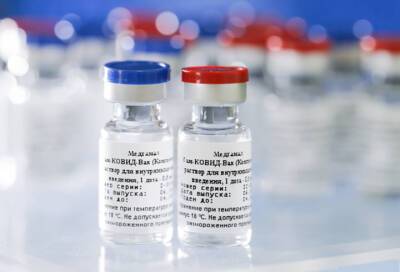 Гинцбург описал преимущества назальной вакцины от коронавируса