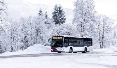 Петербургские школьники вытолкали автобус из снежной западни — видео