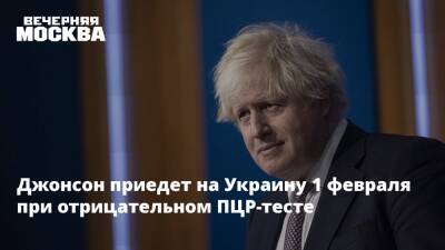 Джонсон приедет на Украину 1 февраля при отрицательном ПЦР-тесте