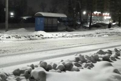 «Ни проехать, ни пройти»: ярославцы назвали самый плохо убираемый от снега район города