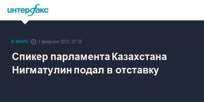 Спикер парламента Казахстана Нигматулин подал в отставку