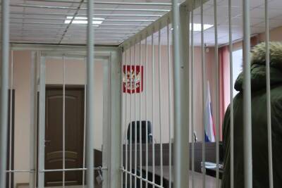 Житель Бердска отправится в колонию строгого режима за нападение на беременную женщину под Новосибирском