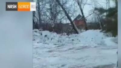 В Тюмени застройщик «элитного» поселка в Перевалово устроил свалку снега