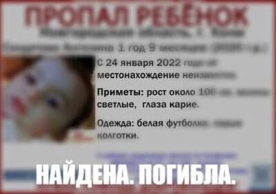 Пропавшая в Новгородской области полуторагодовалая девочка найдена мертвой