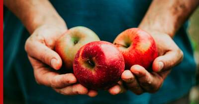 Что будет, если съедать два яблока каждый день, рассказала нутрициолог