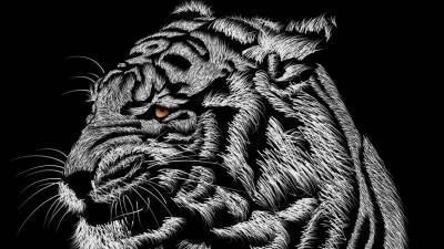 Гороскоп на 2022 год: Черный Тигр установит свои правила игры