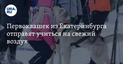 Первоклашек из Екатеринбурга отправят учиться на свежий воздух