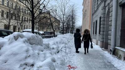 Синоптики предупредили петербуржцев о гололеде 1 февраля