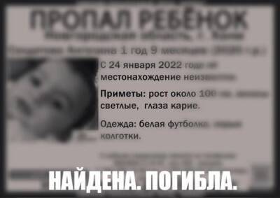 Пропавшая в Холме Новгородской области девочка 2020 года рождения найдена мертвой