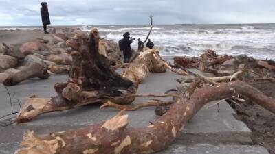 Последствия урагана «Надя» в Калининградской области — видео