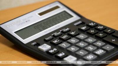 Поступления в бюджет Могилевской области по упрощенной системе налогообложения увеличились на 20,6%