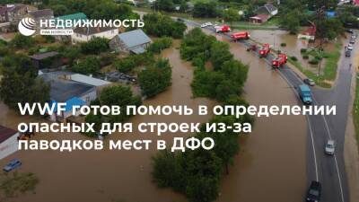 WWF России готов помочь в определении опасных для строек из-за паводков мест в ДФО