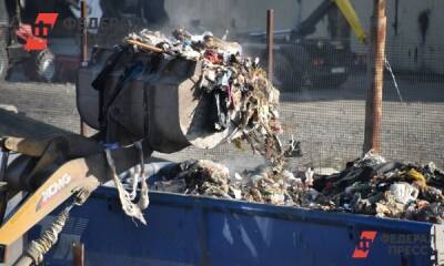 Суд запретил выкидывать мусор на полигоне под Омском