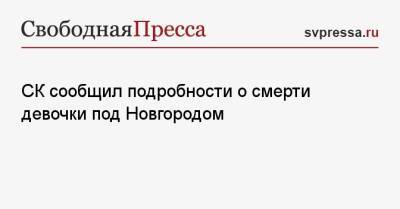 СК сообщил подробности о смерти девочки под Новгородом