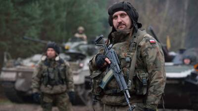 Польша раскрыла планы поставок оружия на Украину