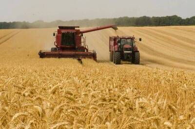 СМИ: Российско-украинская война спровоцирует масштабный дефицит пшеницы