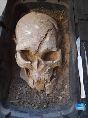 Под Запорожьем на Мамай-Горе археологи обнаружили череп 7000 лет (фото)