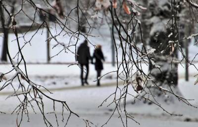 Россиянам пообещали теплый февраль