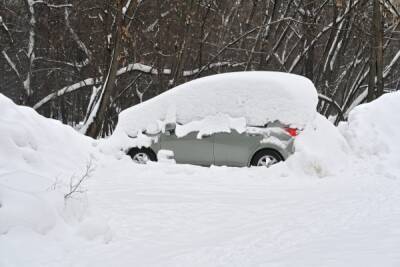 Синоптик заявил о рекорде по высоте снежного покрова в Москве за текущую зиму