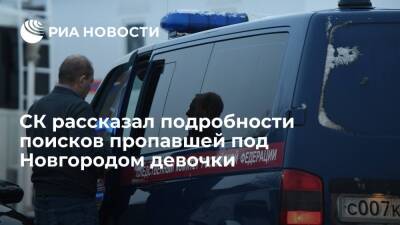 Тело пропавшей под Новгородом девочки нашли на участке неподалеку от дома
