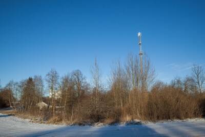 Вышками сотовой связи снабдят еще восемь деревень Новгородской области