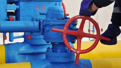 В Киеве заявили о первом в истории «настоящем» реверсе газа из Венгрии