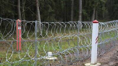 Правительство Латвии продлило на три месяца режим ЧС на границе с Белоруссией
