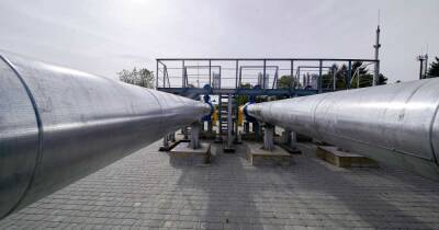 На Украине заявили о начале физического импорта газа из Венгрии