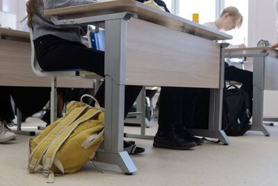 Школьников Свердловской области отправляют на дистант и каникулы из-за ковида