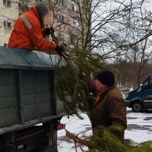 В Запорожье продолжают утилизировать елки. Фото