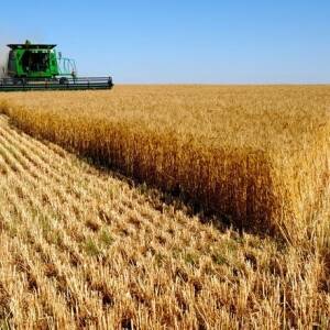 В Запорожской области будут судить руководителя фермерского хозяйства за присвоение более миллиона гривен