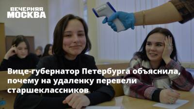 Вице-губернатор Петербурга объяснила, почему на удаленку перевели старшеклассников